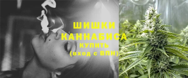 стаф Нефтекумск