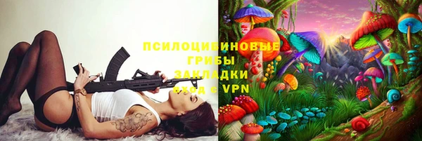 мяу мяу мука Весьегонск