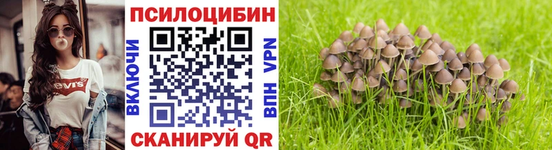 Галлюциногенные грибы мухоморы  сайты даркнета официальный сайт  Задонск 